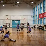 开云体育app-中国出口底特律运输